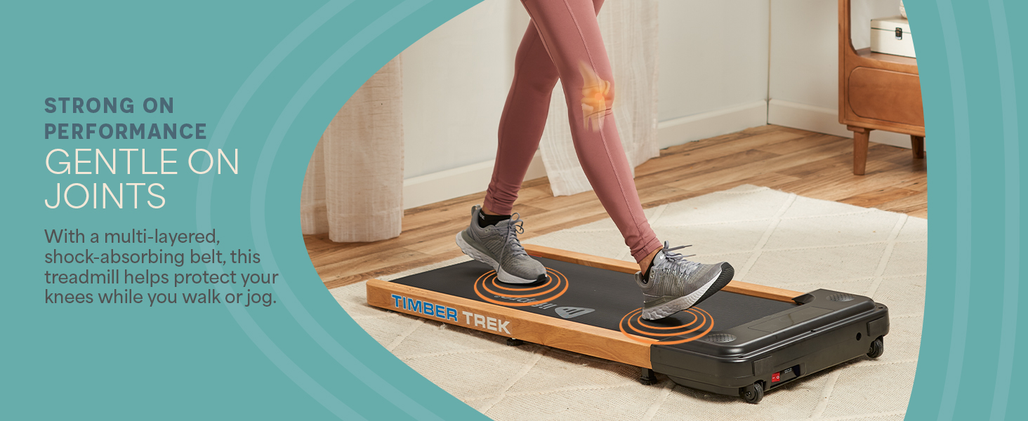 b9e0e9c2-9a94-4406-8176-de6bb057f793.__CR0,0,1464,600_PT0_SX1464_V1___