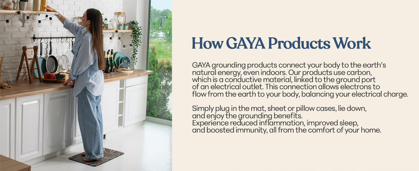 19125b05-bf39-4db5-bb1a-511e076a3419.__CR0,0,1464,600_PT0_SX1464_V1___